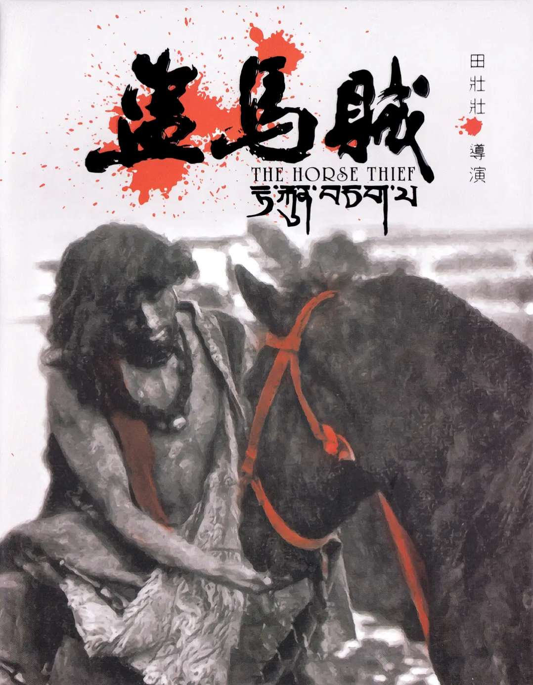 盗马贼