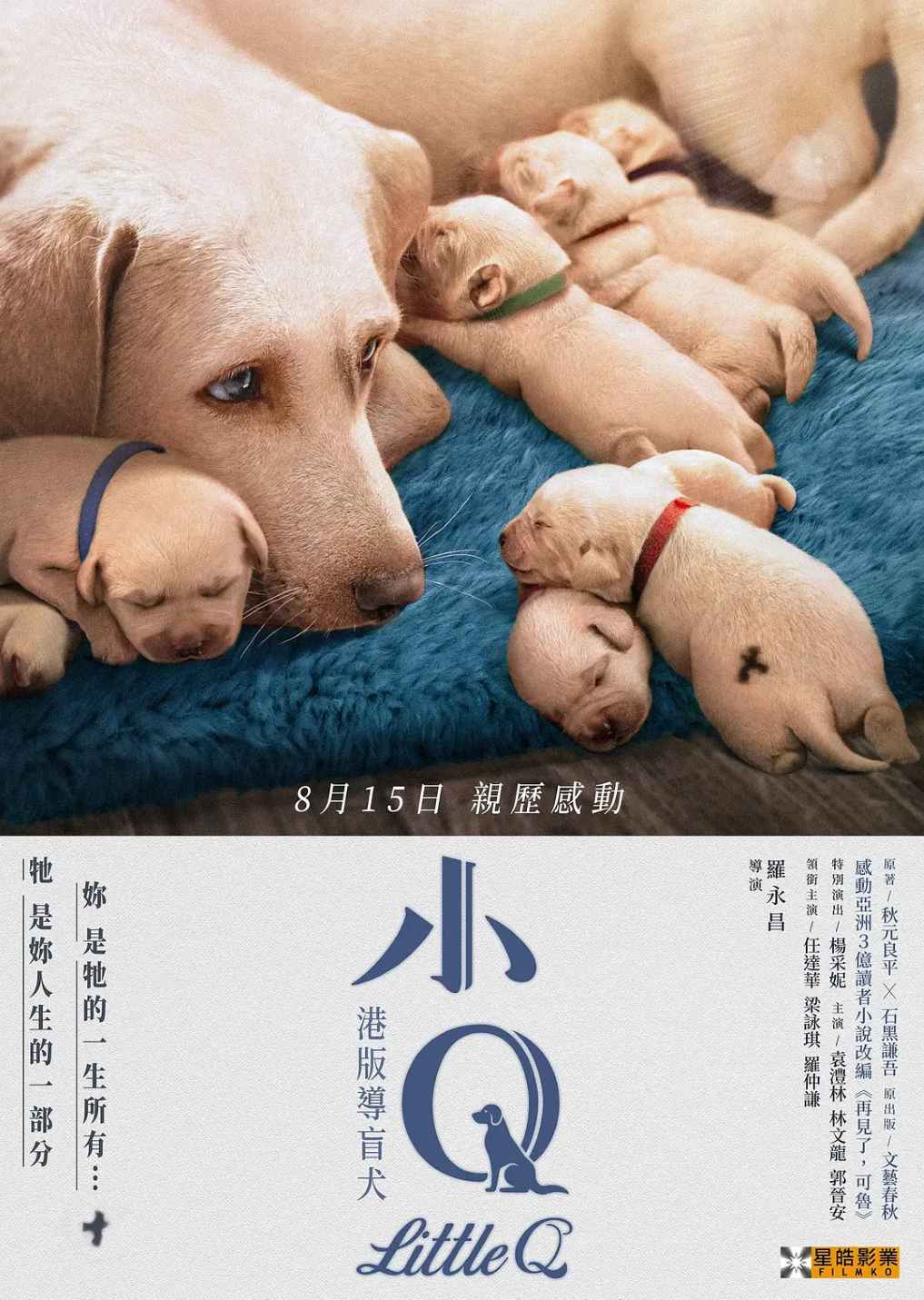 小Q