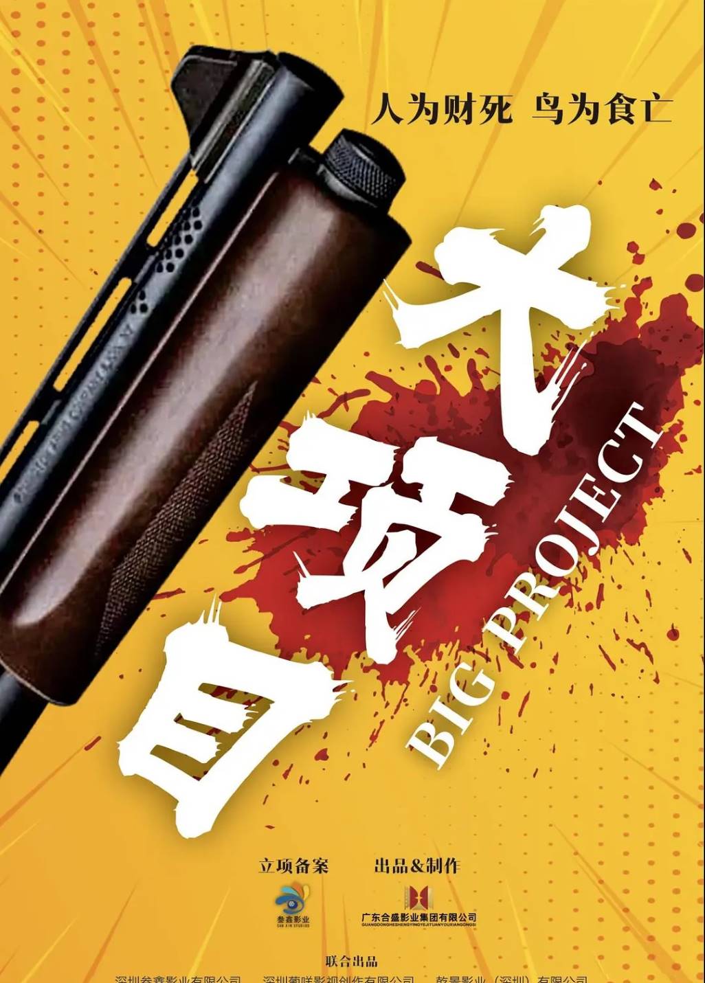 大项目
