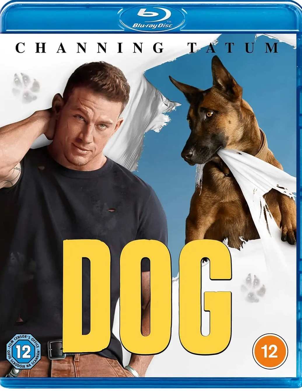 忠犬