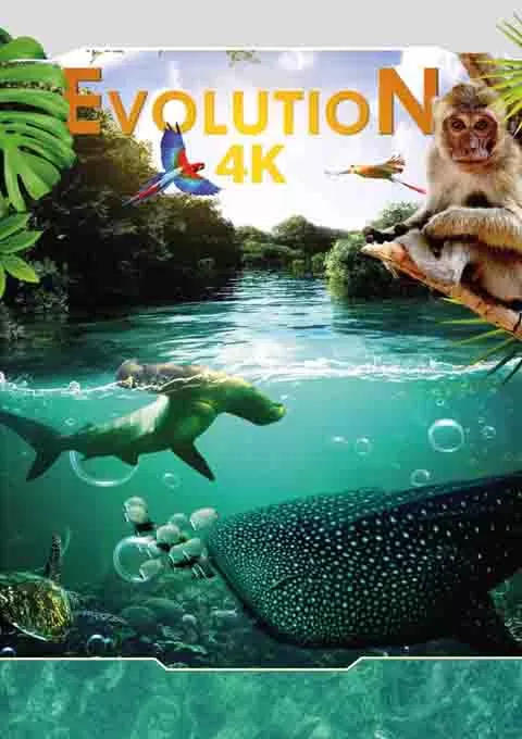 进化4K