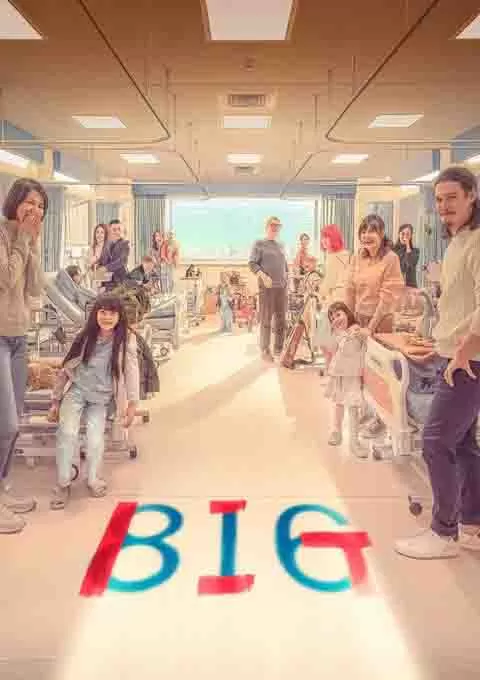 816