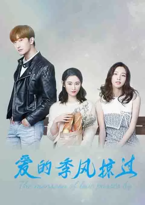 爱的季风掠过